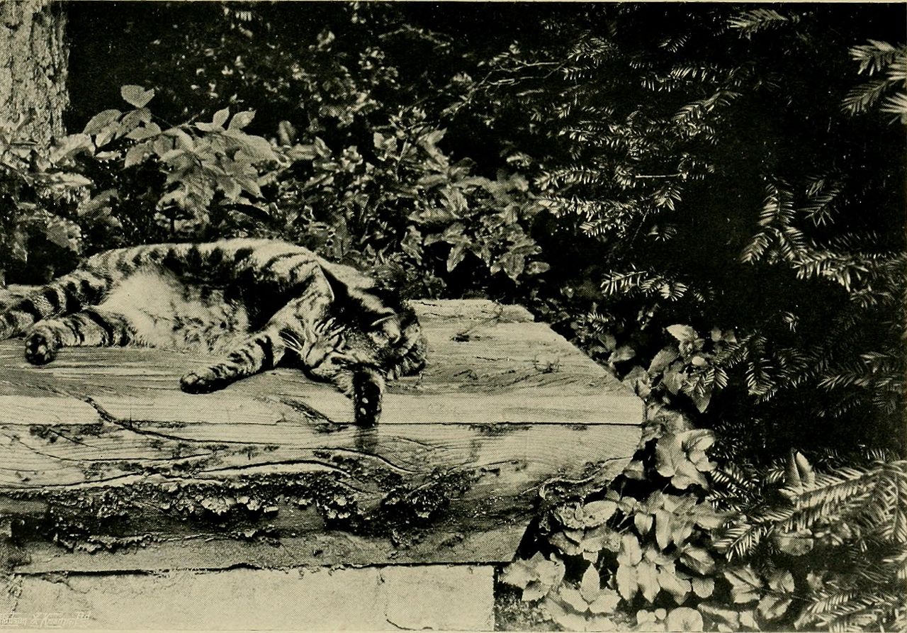Children_and_gardens_(1908)_(14592250880).jpg
