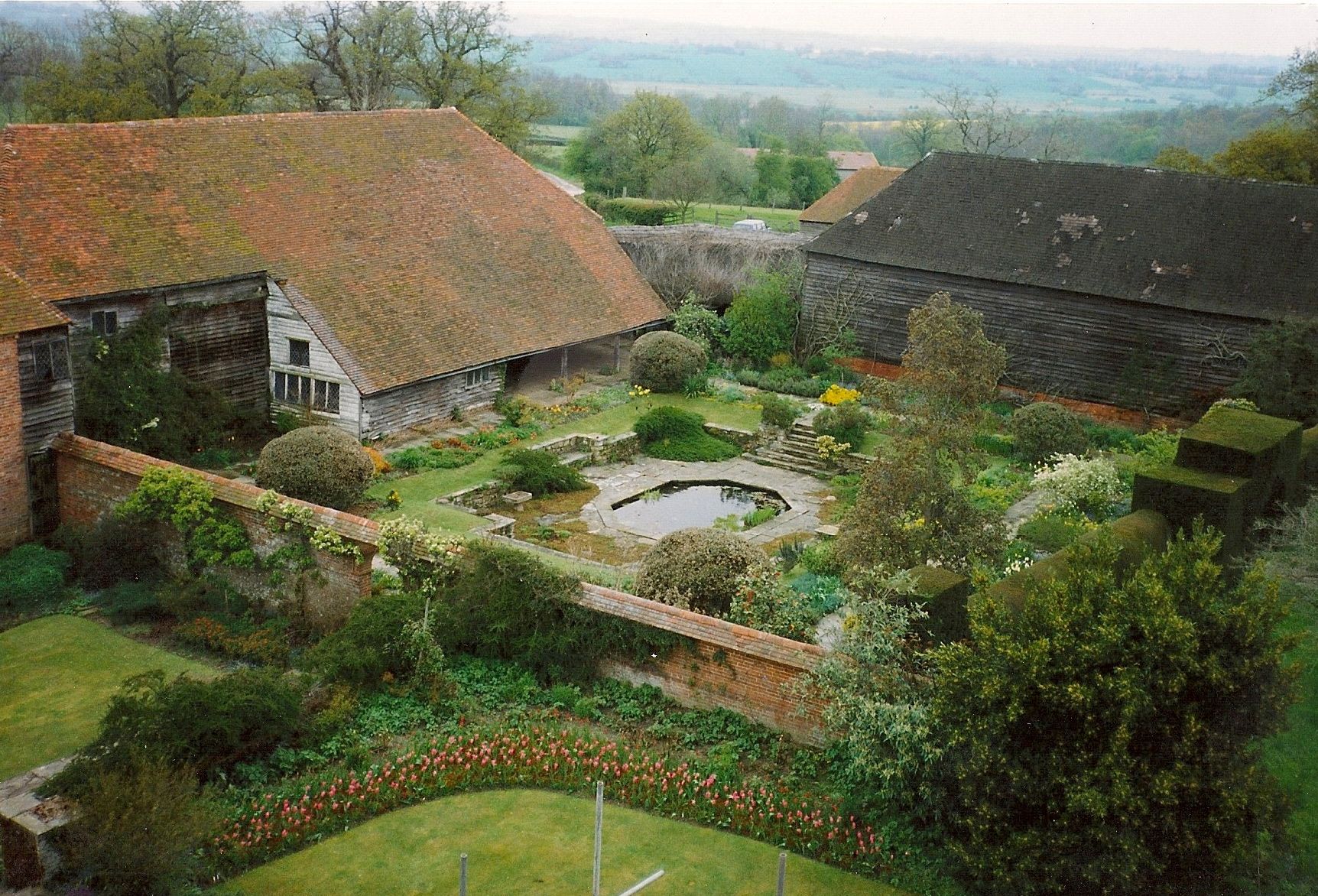 Dixter-1-1.jpg