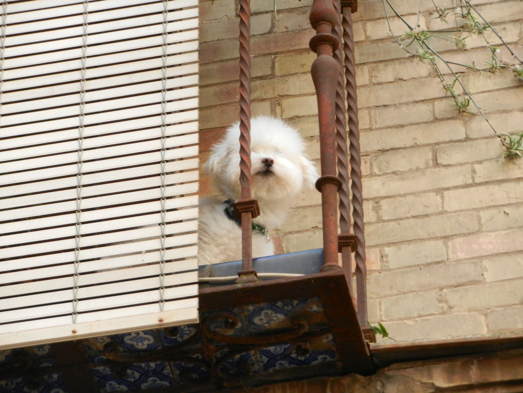 DSCN7183.JPG