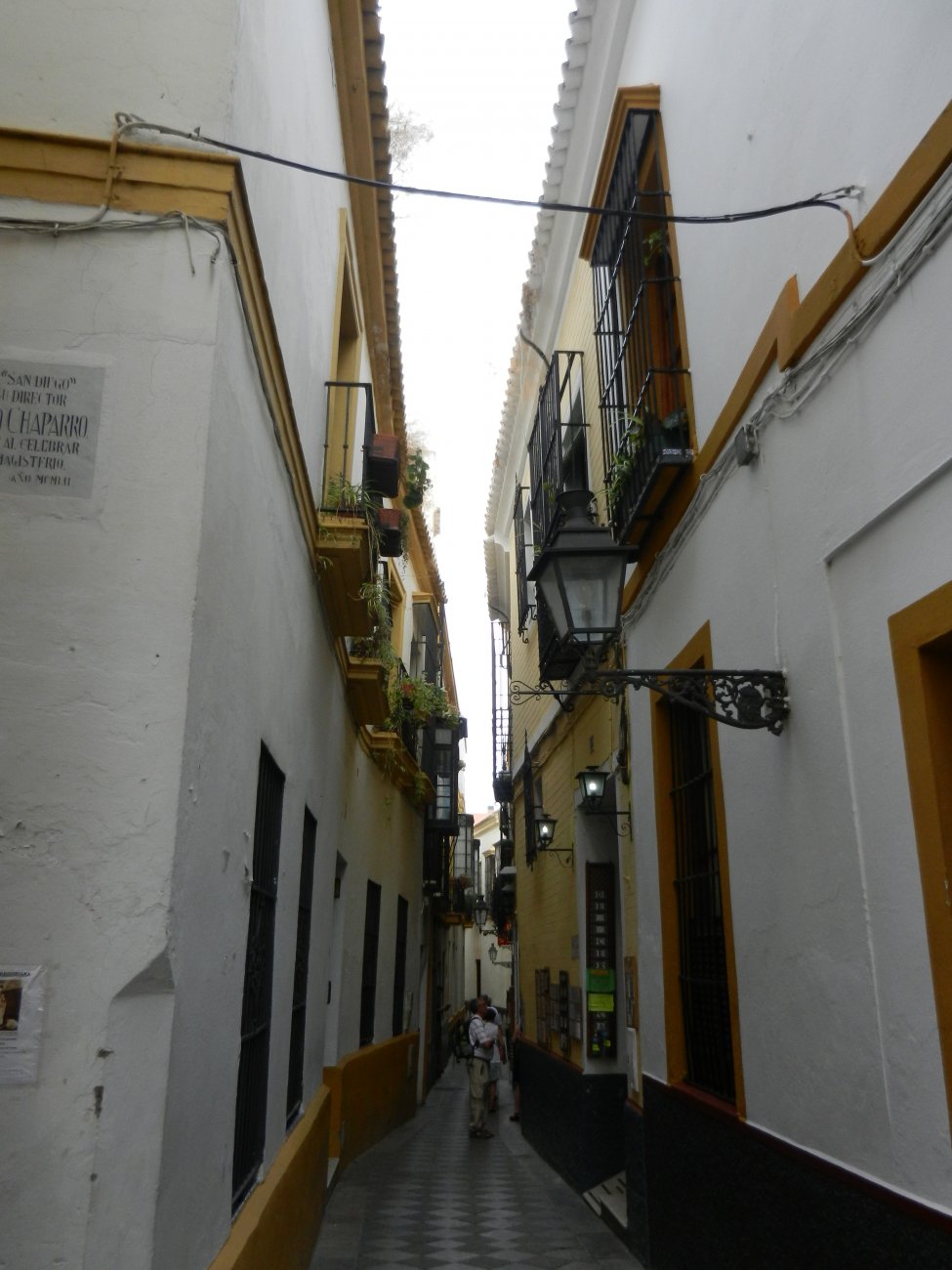 DSCN7190.JPG