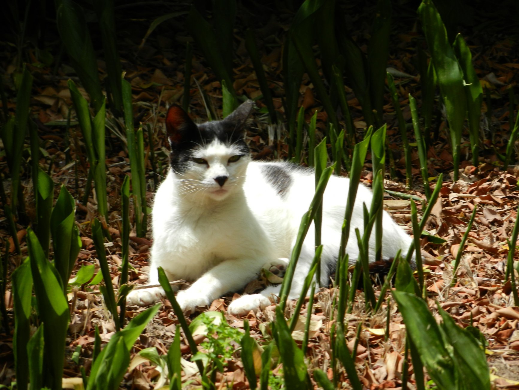 DSCN7253.JPG
