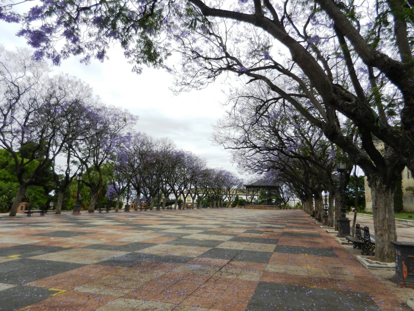 DSCN7469.JPG