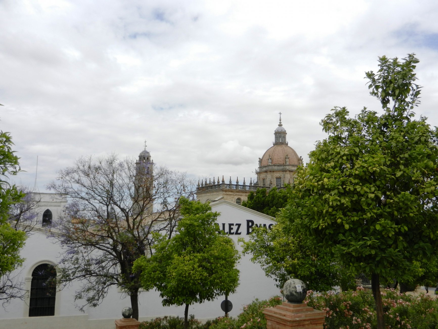DSCN7474.JPG