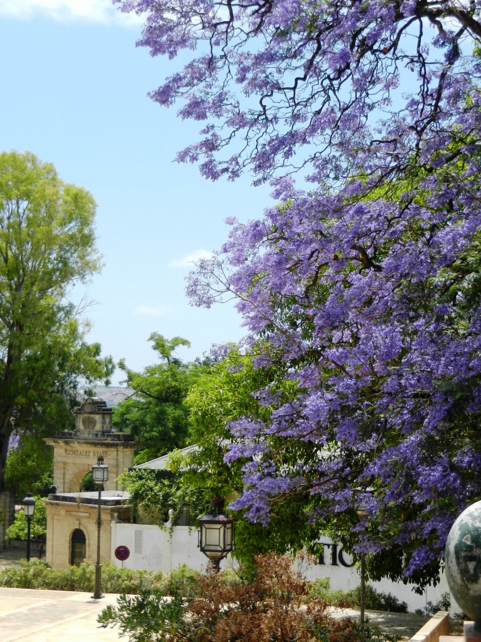 DSCN7591.JPG