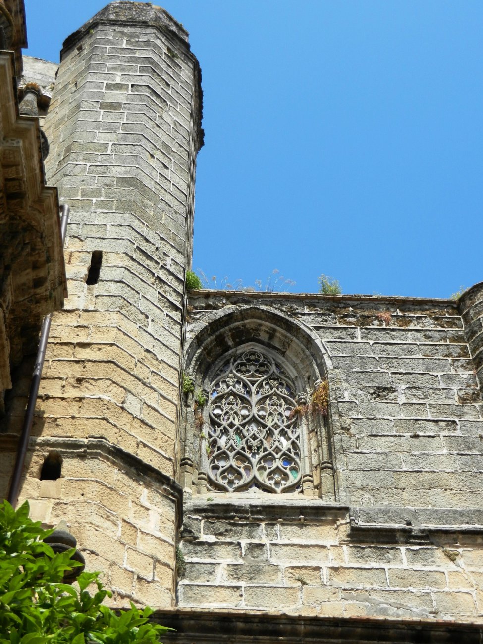 DSCN7603.JPG