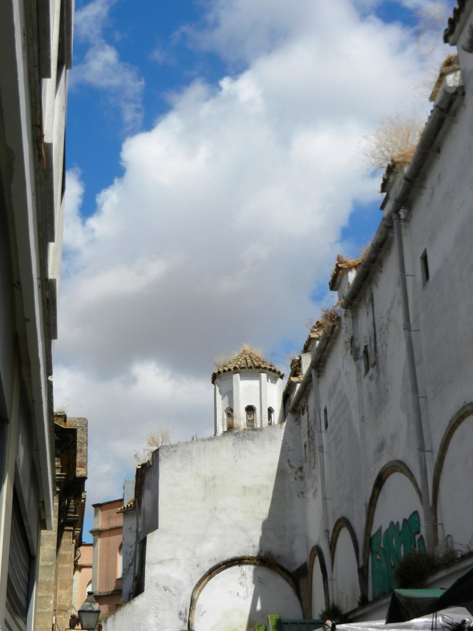 DSCN7617.JPG