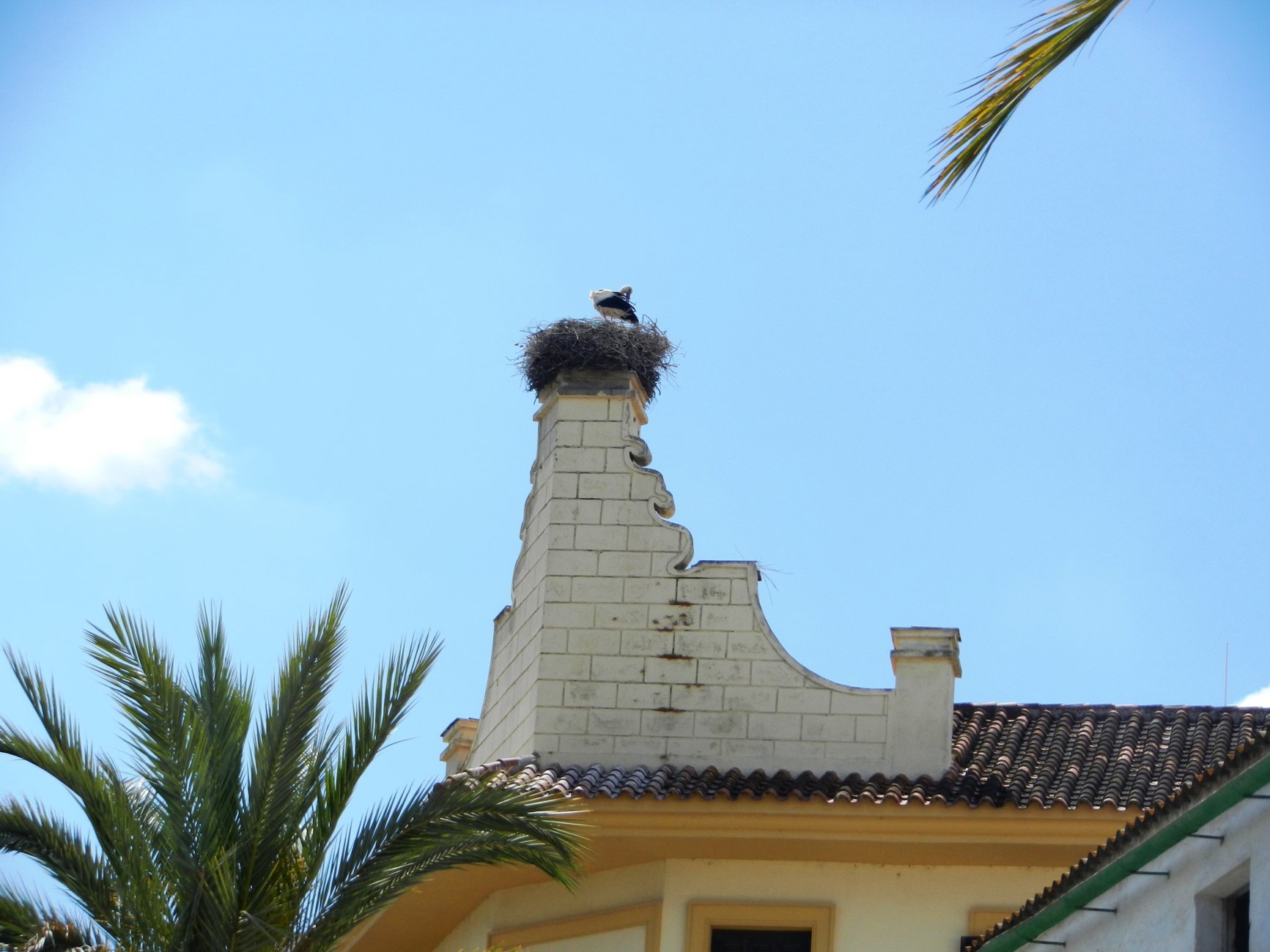 DSCN7671.JPG