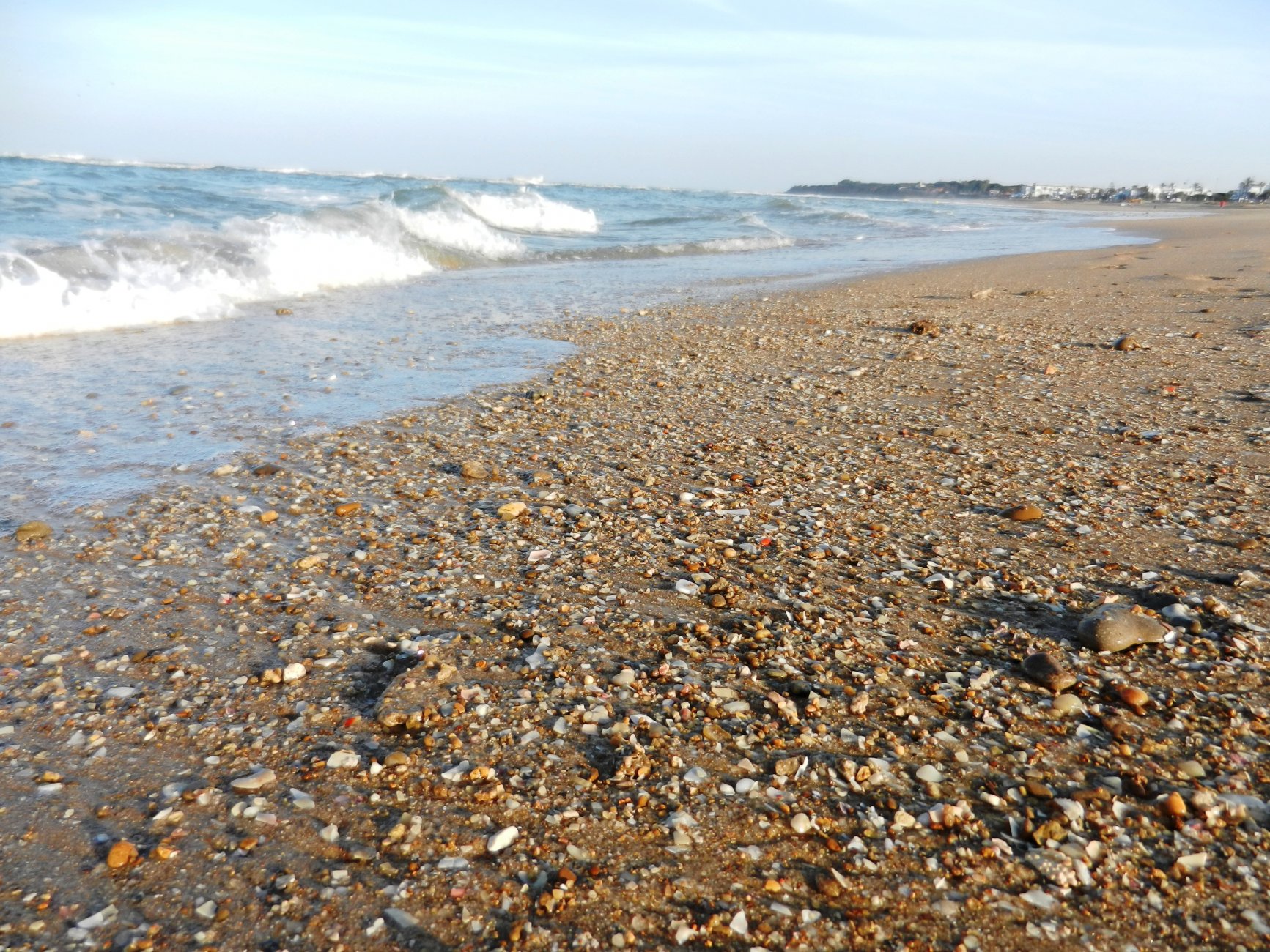 DSCN7732.JPG