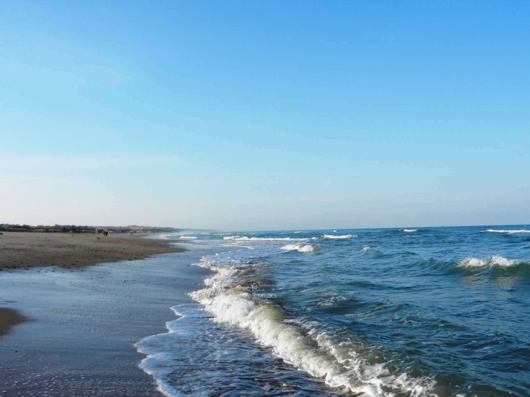 DSCN7734.JPG