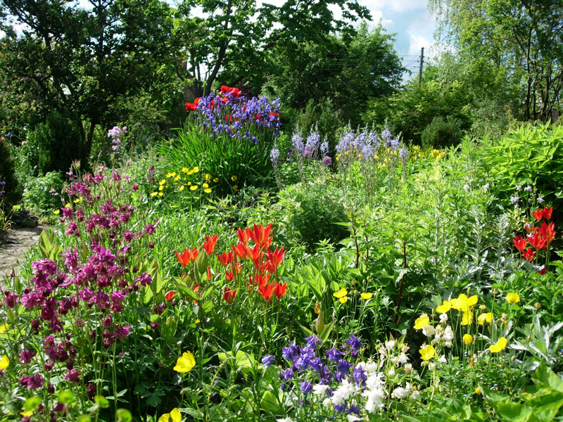 east_lambrook_manor_garden_original.jpg
