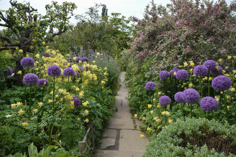 Great+Dixter+Orchard.jpg