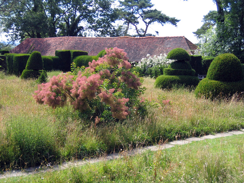great_dixter_topiary_original.jpg
