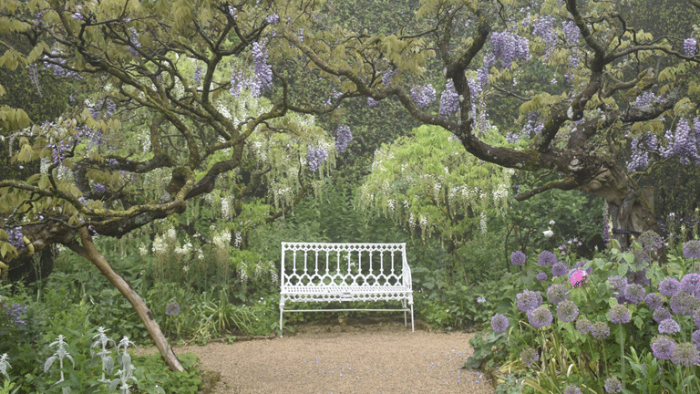 Hidcote-1.gif