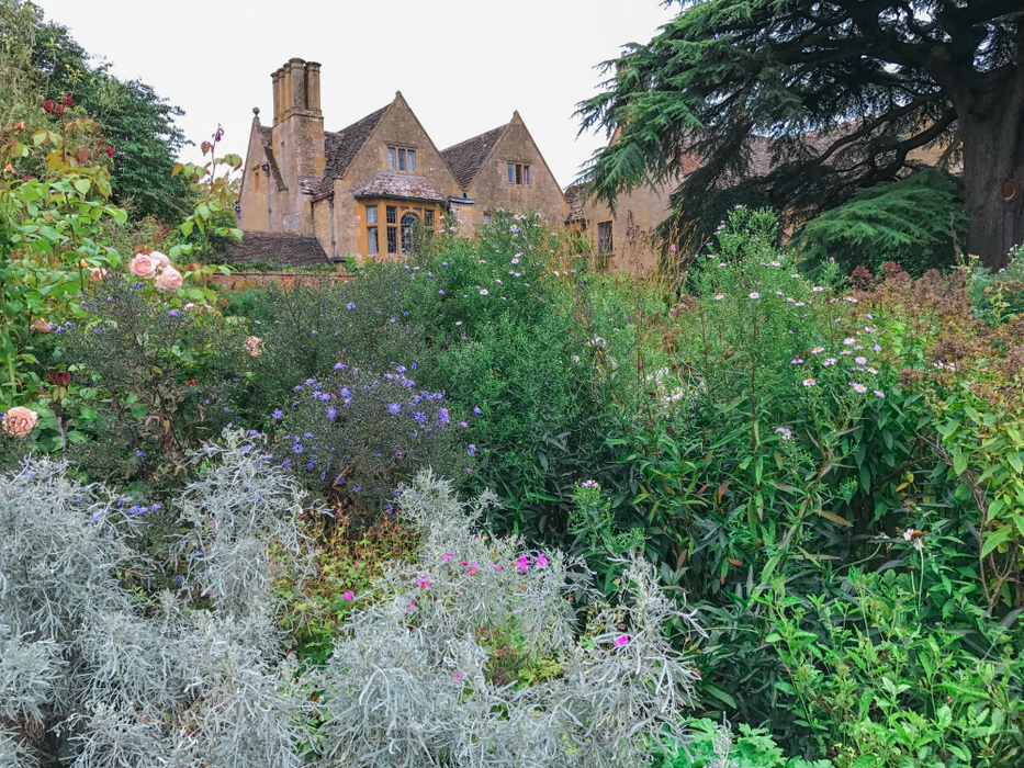 hidcote9_1000.jpg