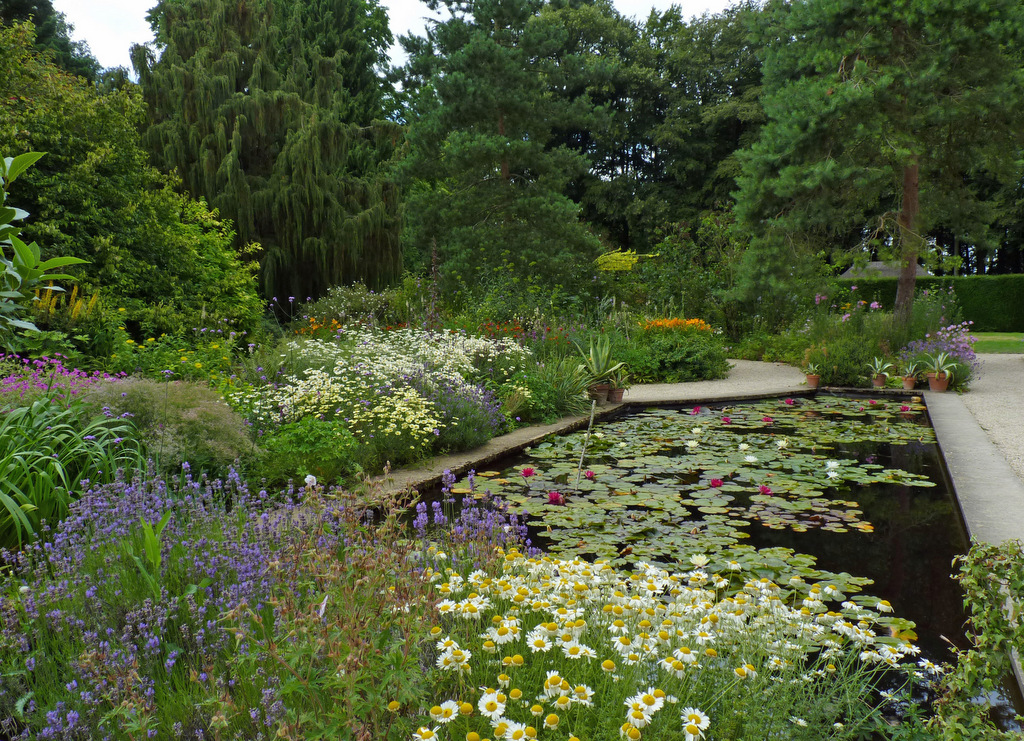 hidcote_lily_pond_original (1).jpg