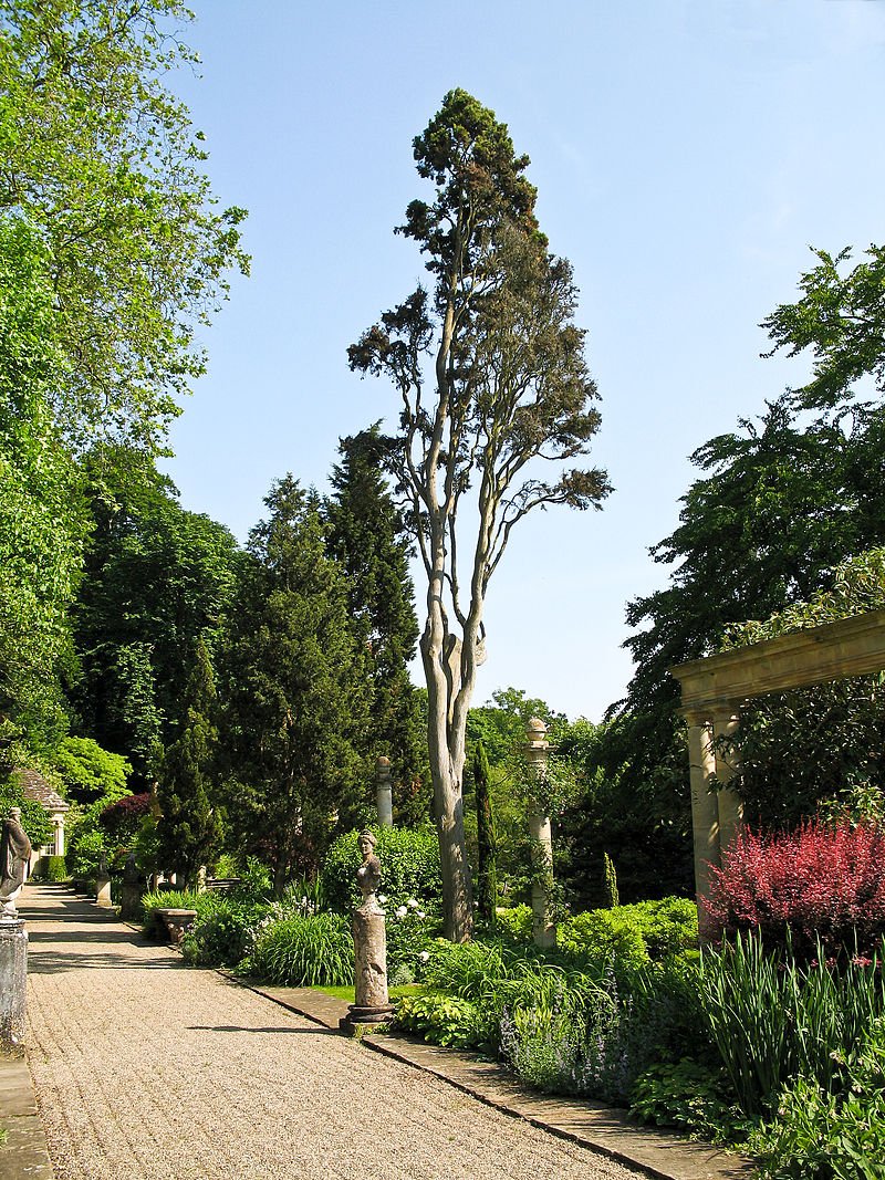 Iford_Manor_-_garden_08.jpg