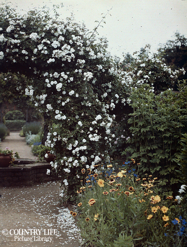 Jekyll-autochrome_12.jpg