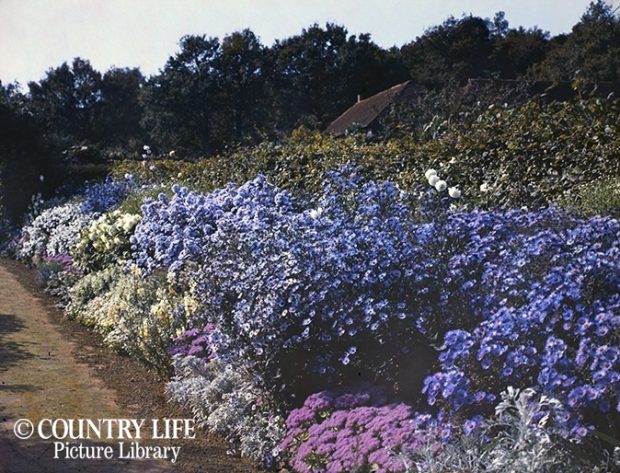 Jekyll-autochrome_14-620x473.jpg