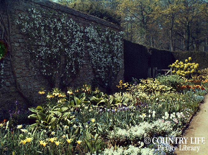 Jekyll-autochrome_9.jpg