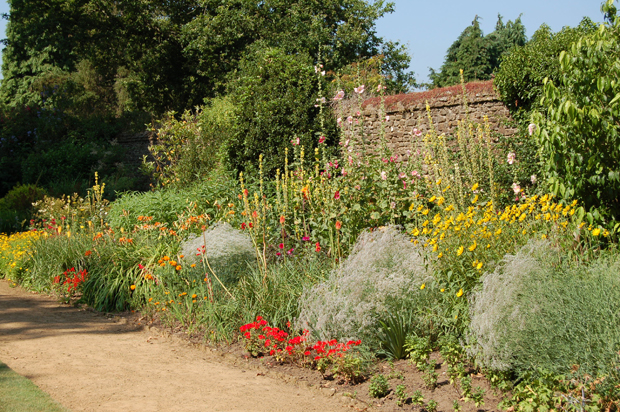 munstead11.jpg
