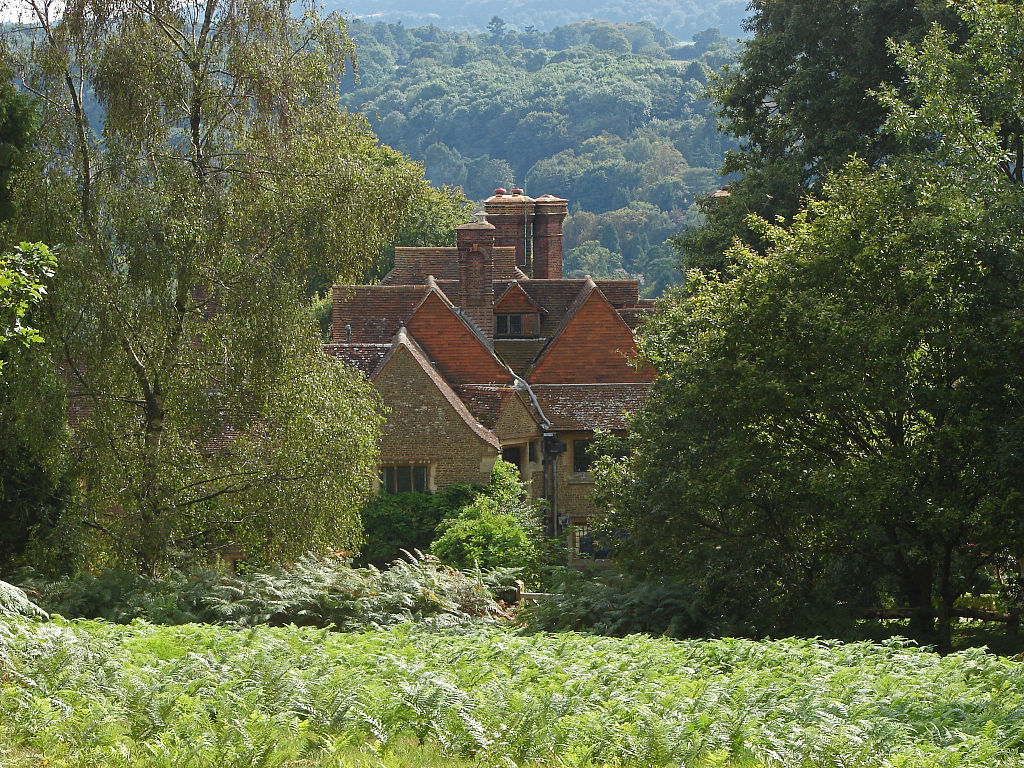 Rooftops_from_Chinthurst_Hill,_Surrey-geograph-4149447-by-Alan-Hunt.jpg