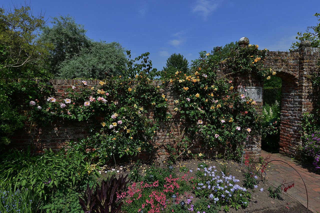 SISSINGHURST_CASTLE_Roses_at_their_best_in_June.JPG