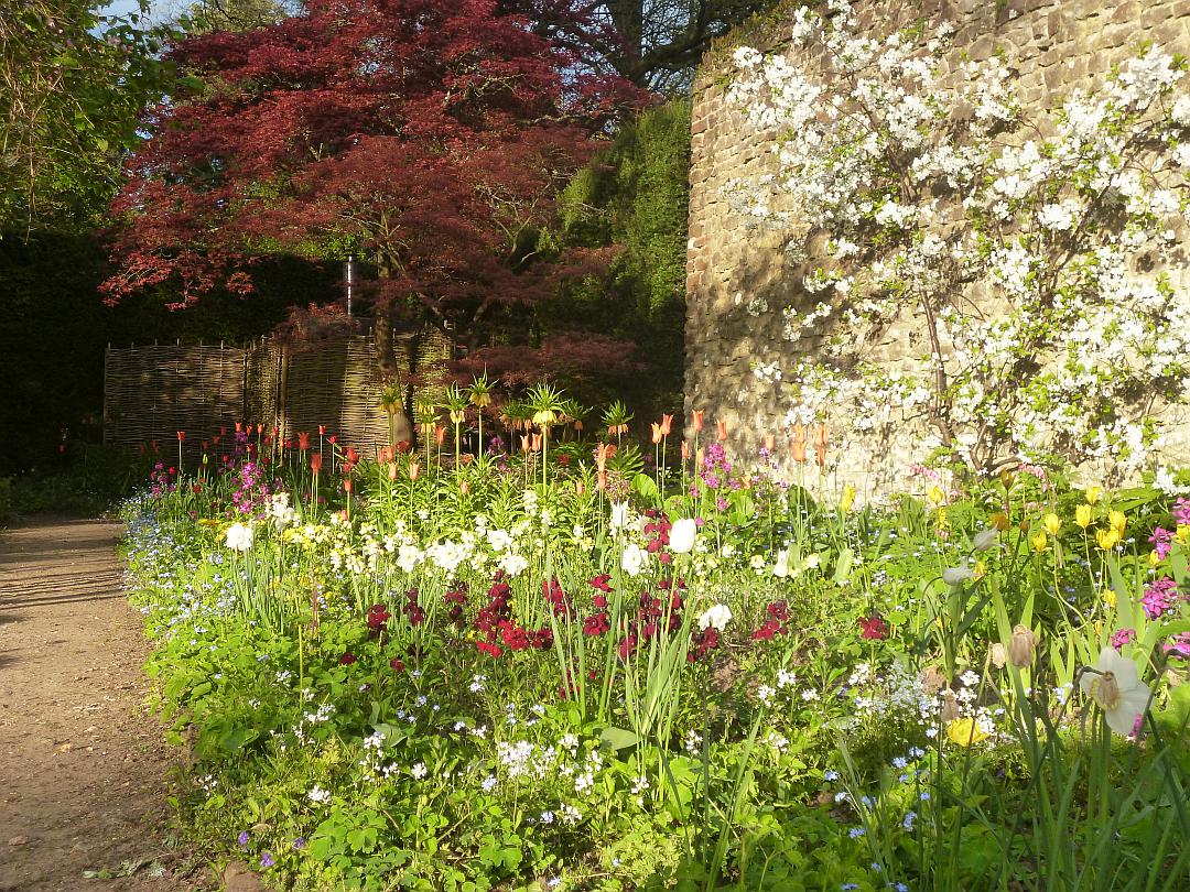 spring_garden_large.jpg