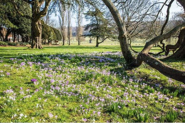 west-dean-gardens-cr-judi-lyon-lowres.jpg