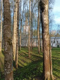 IMG_20260513_185452_549ц.jpg