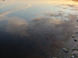 IMG_20260513_201311_466.jpg