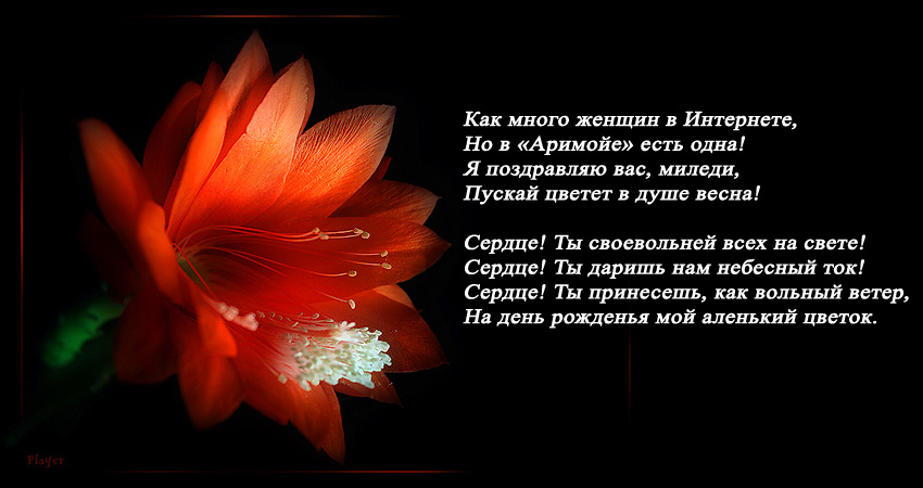 Аленький цветок .jpg
