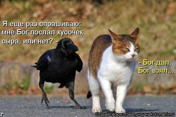 Богословы.jpg