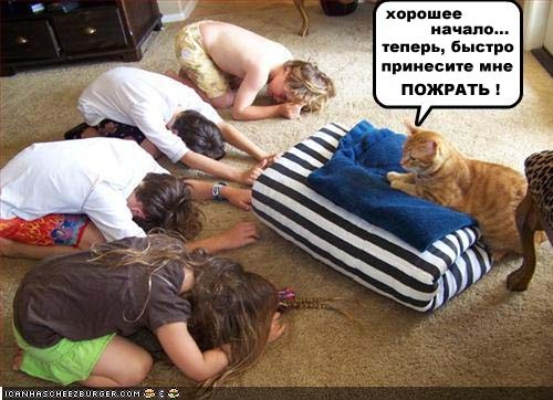 Из салона.jpg