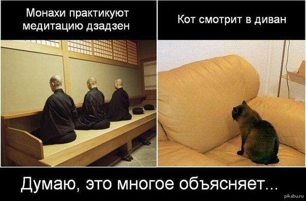 Котэдзэн.jpg