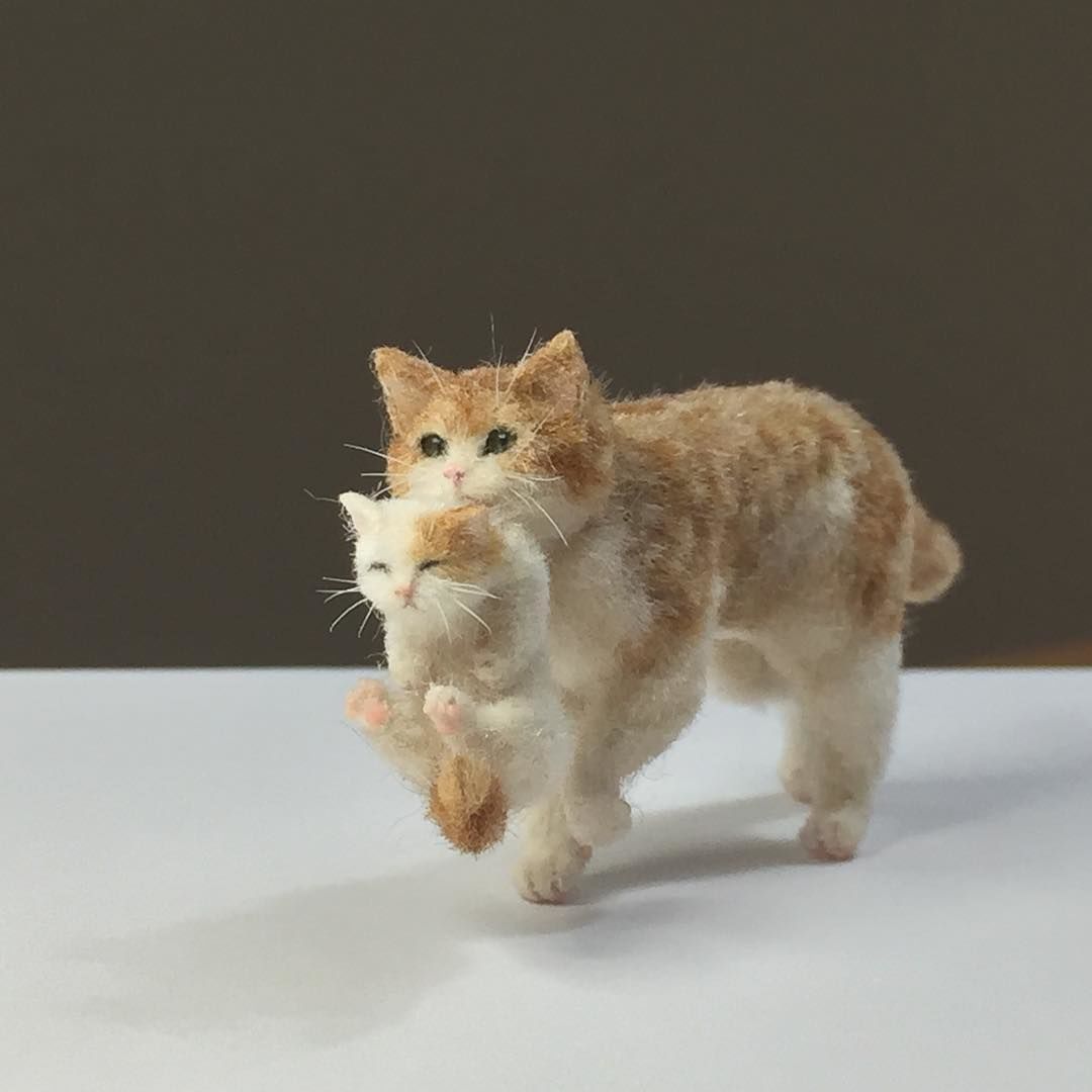 Кош.jpg