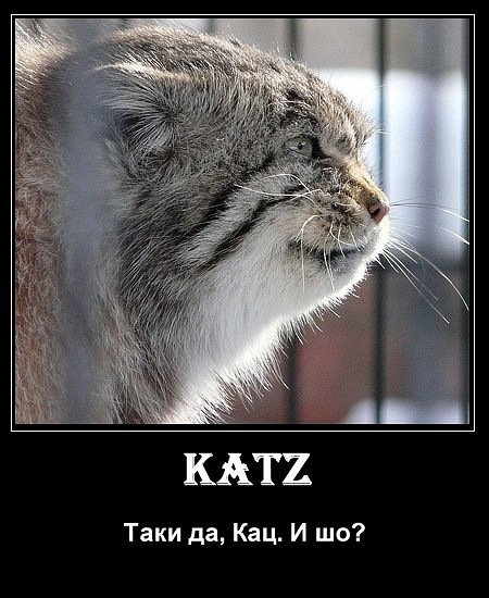 Таки katz.jpg