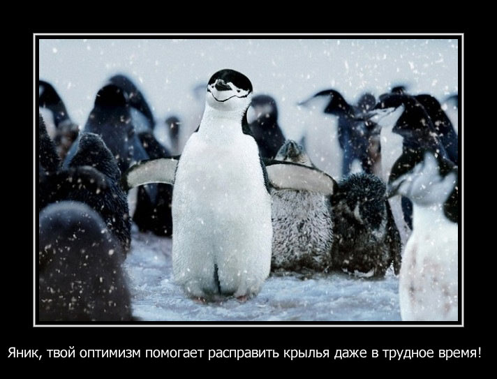 Яник-оптимист.jpg