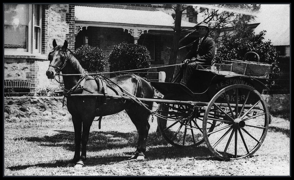 австрHorse_drawn_baker's_cart_Victor_Harbor_1920.jpg