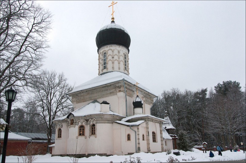 васильевское125.jpg