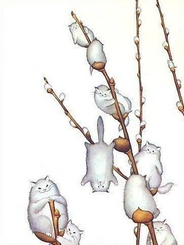 вербные коты.jpg