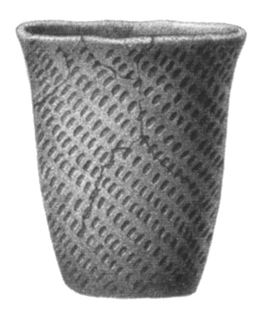 воорнковидные Funnelbeaker2.JPG