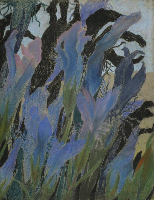 выспянский2525_o_irises.jpg