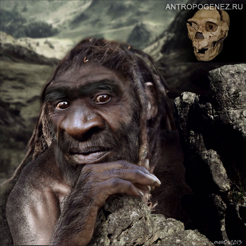 гейдheidelbergensis_atapuerka.jpg