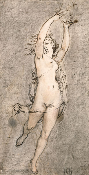 гольциусDaphne.jpg