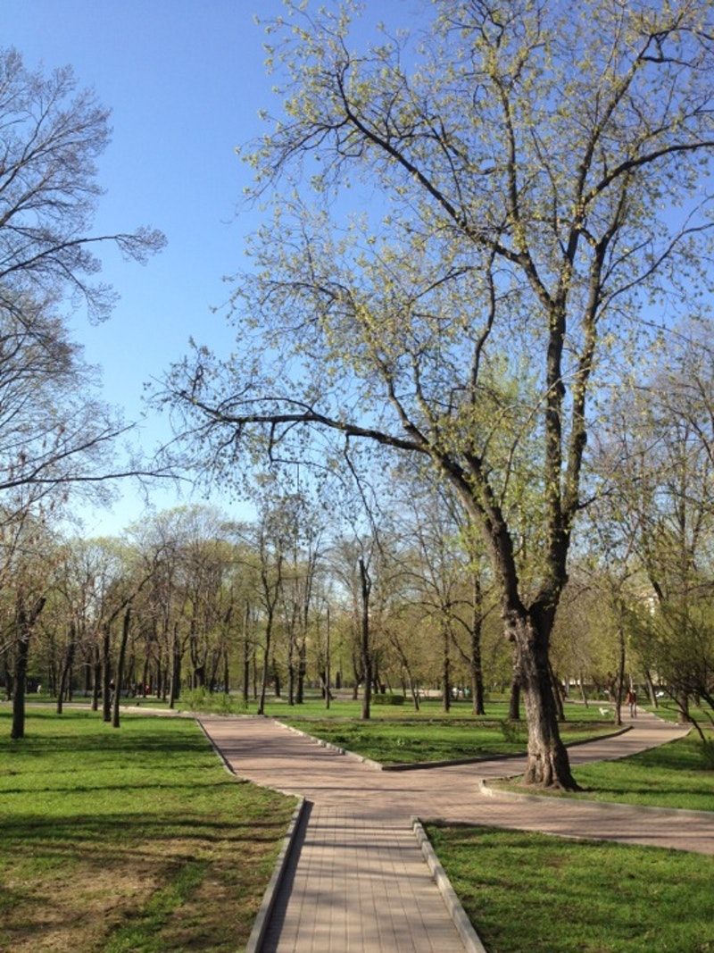 декабр восст3_big_park-dekabrskogo-vosstaniia.jpg