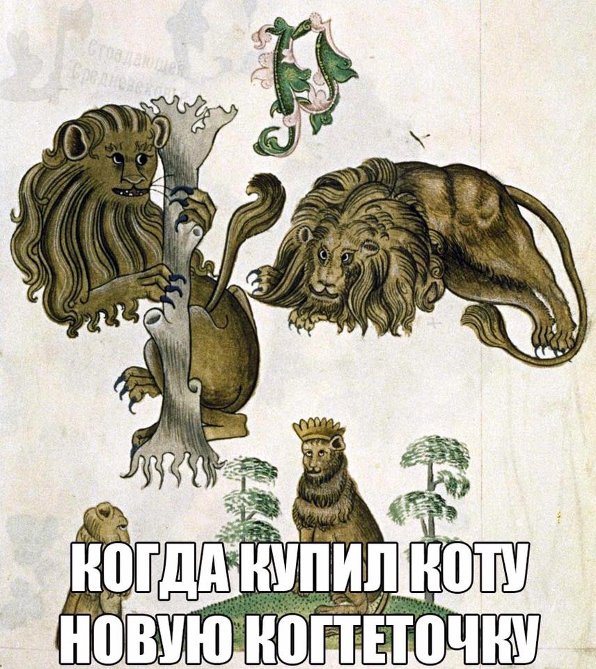 забавно 1.jpg