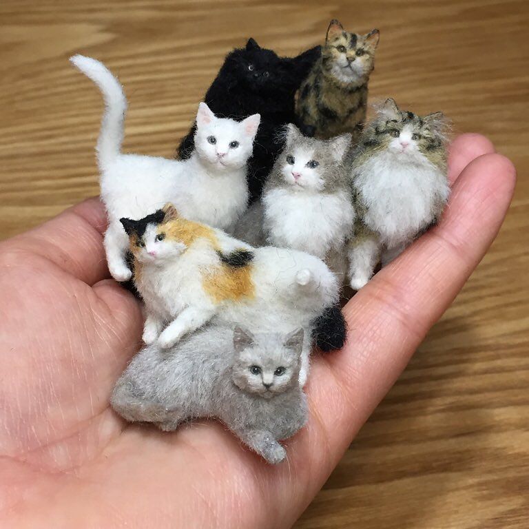 кош 10.jpg
