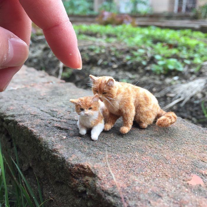 кош 14.jpg