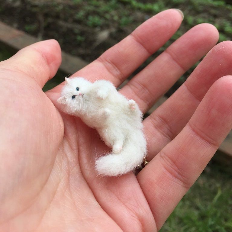 кош 15.jpg