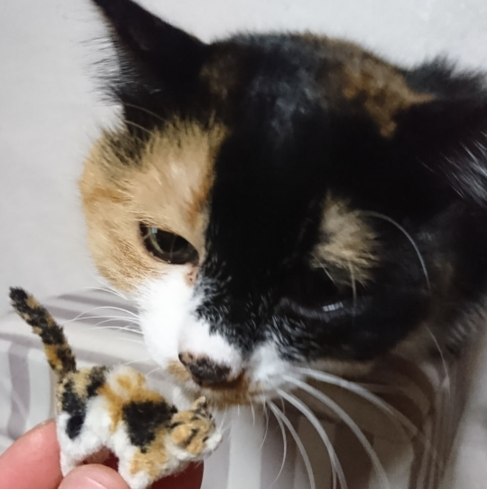 кош 16.jpg